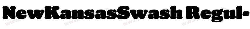 NewKansasSwash Regul字体转换 NewKansasSwash Regul字体转换